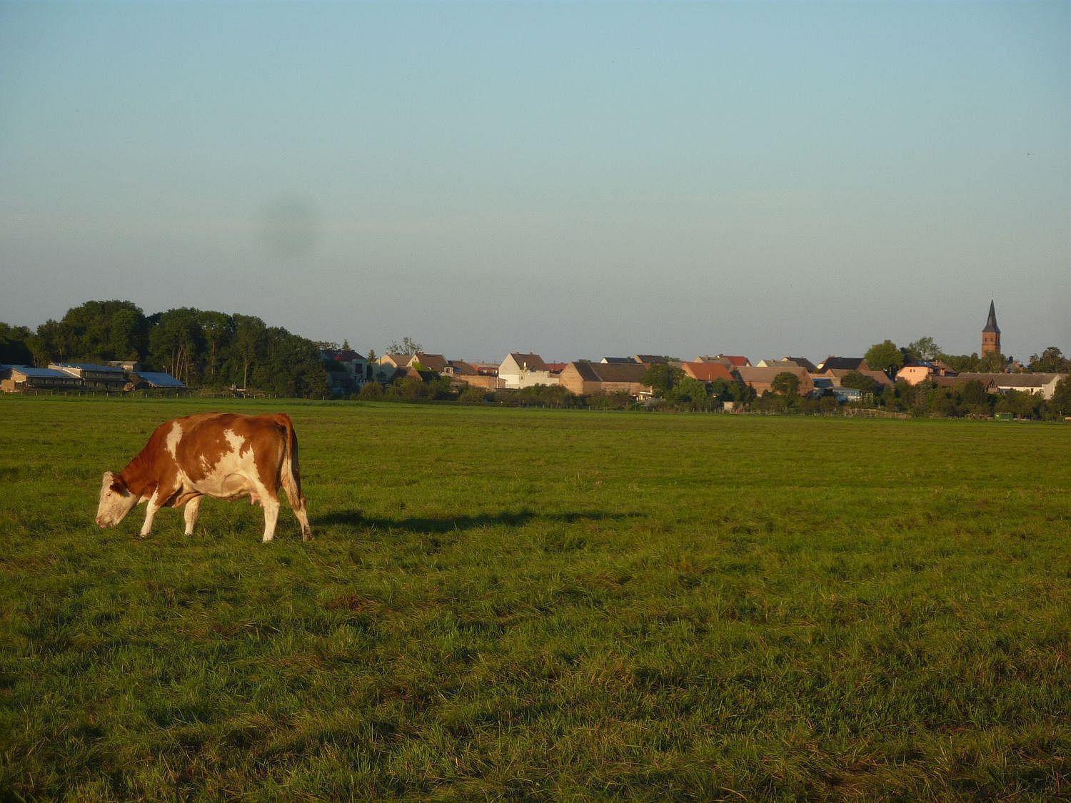 Ferienwohnung Zallnerhof Am Elberadweg In Steutz Exteriér fotografie